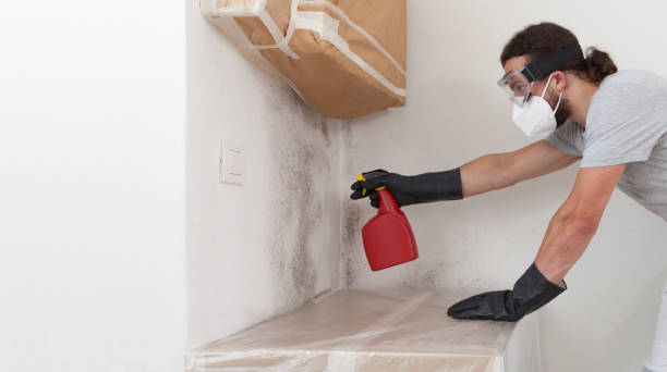 Professional Crawl Space Mold Remediation technician working in DeWitt, MI
