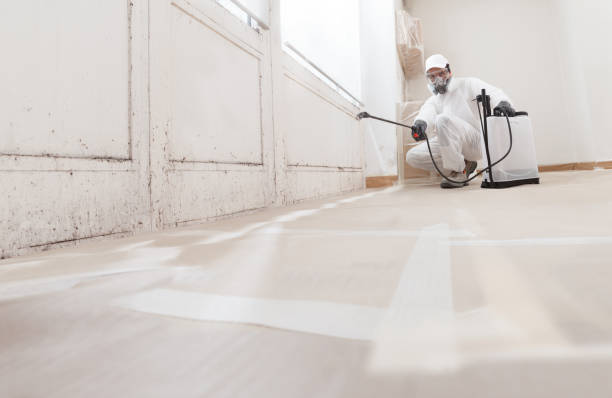 24/7 Emergency Crawl Space Mold Remediation experts in DeWitt, MI