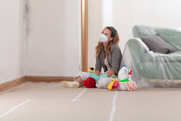 Reliable Crawl Space Mold Remediation contractor in DeWitt, MI by Mold Remediation HQ